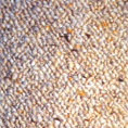 Elland Colour Hessian 5'7 x 13'2